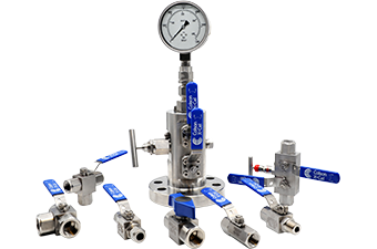 Instrument ball, needle, manifold and check valves